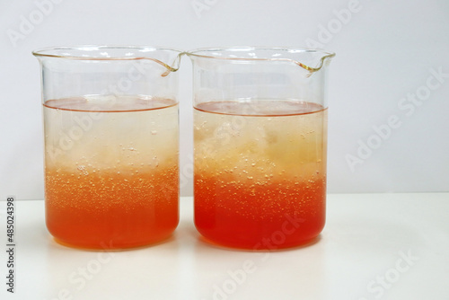 Pectin from dragon fruit peel samples in beakers coagulation and flocculation method with ethanol and using re-crystallized for forming precipitation and reduced impurity. Use for science background.