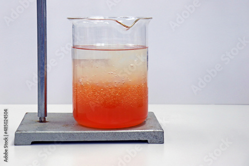 Pectin from dragon fruit peel samples in beakers coagulation and flocculation method with ethanol and using re-crystallized for forming precipitation and reduced impurity. Use for science background.