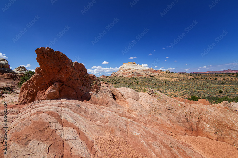 Rock Formation in White Pocket, Utah Rock Formation in White Pocket, Utah