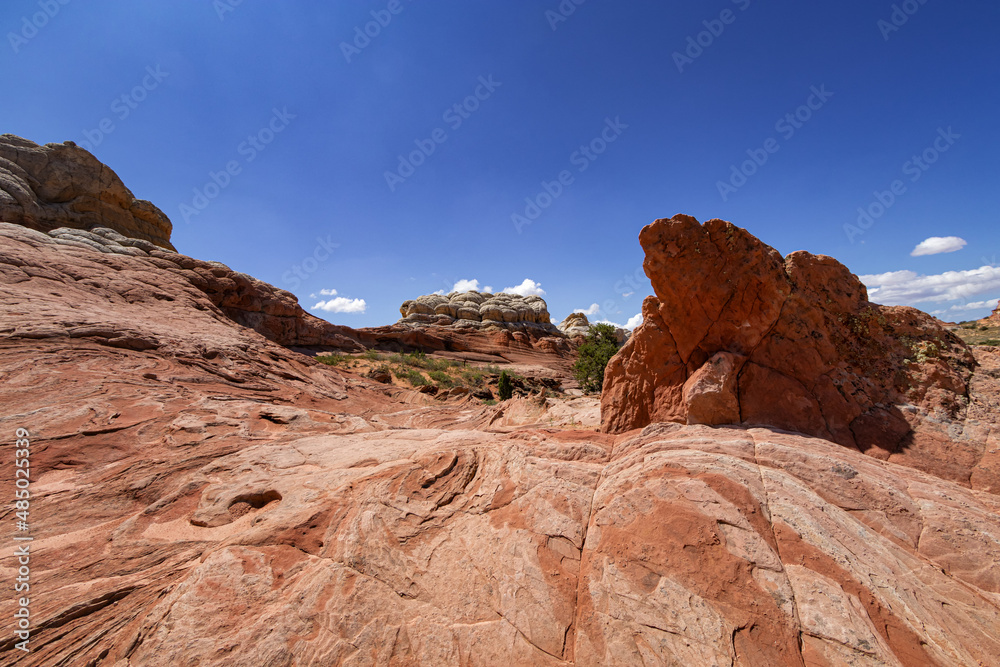 Fototapeta premium Rock Formation in White Pocket, Utah
