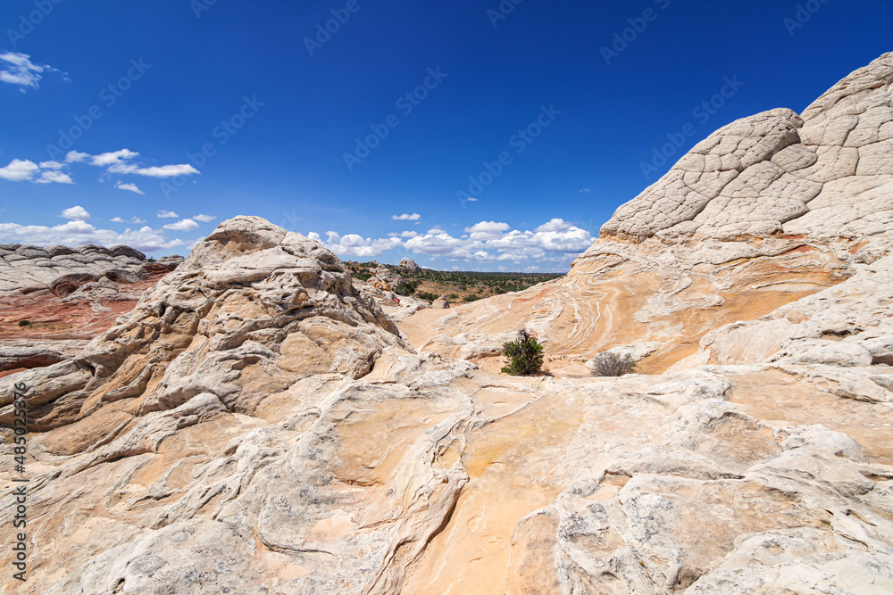 Rock Formation in White Pocket, Utah