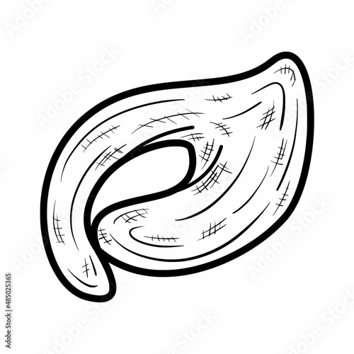 simple top view of tortellini pasta outline hand drawn doodle illustration vector logo icon