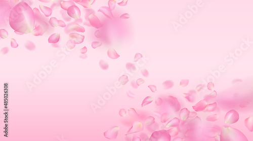 Vector template of realistic falling rose petals. Flying voluminous blurred pink sakura petals with blur effect. Spring flower illustration for background, wallpaper, banner, romantic greeting card.