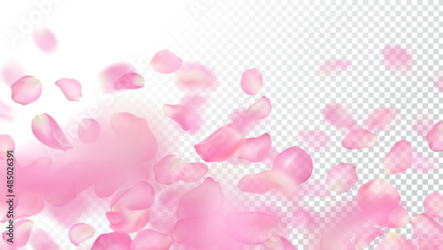 Vector template of realistic pink rose petals on transparent background. Close-up. Wallpaper of flying blurred sakura petal with blur effect. Floral illustration for banner, romantic greeting card.