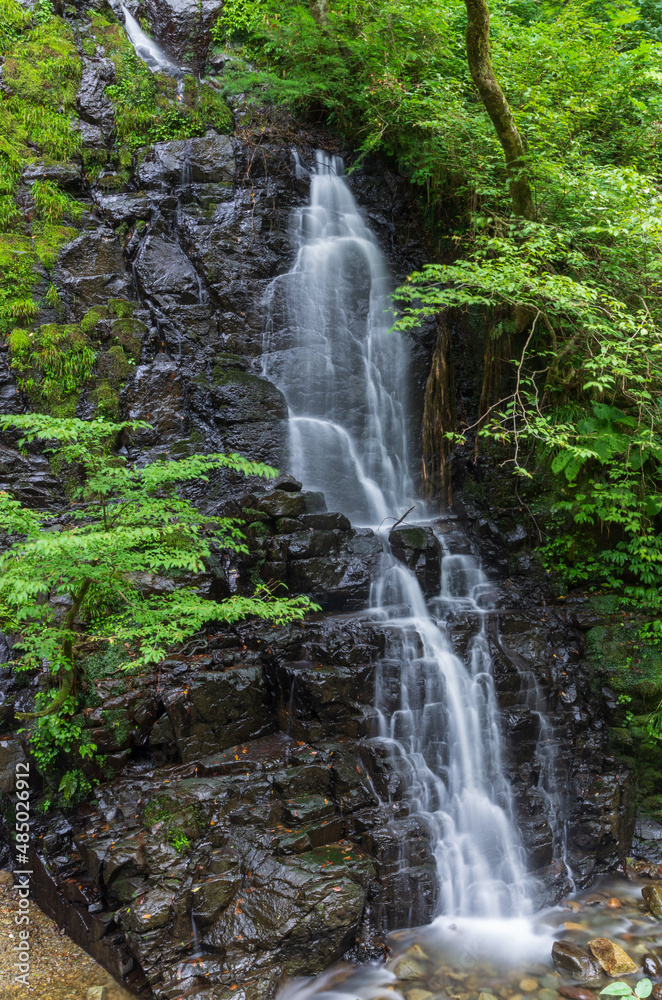 福井県池田町の龍双ヶ滝（日本の滝100選）