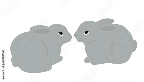 Vector illustration of a cute gray rabbits isolated on a white background. © Viktoriia