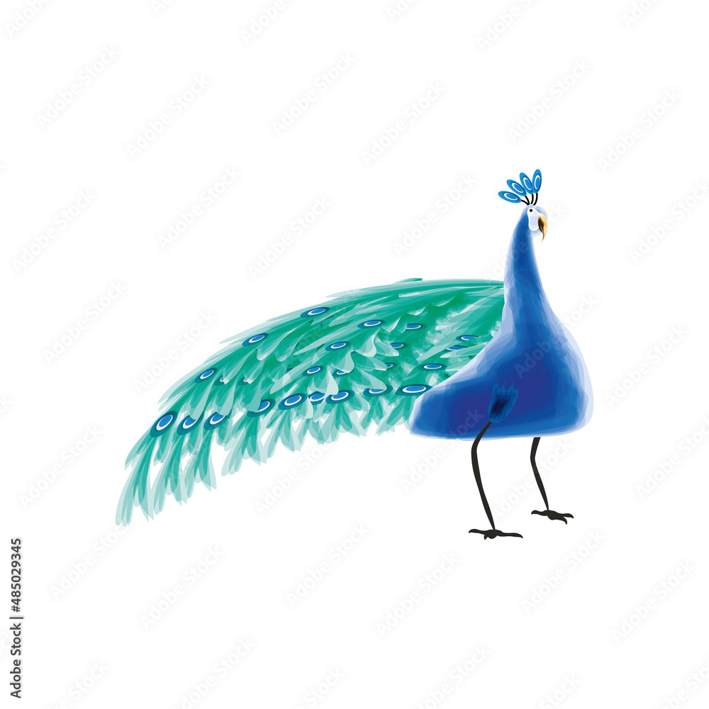 Peacock bird watercolor stock vector adobe stock
