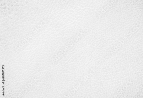 White genuine leather texture background. Empty luxury classic textures for decoration. Vintage skin natural suede.