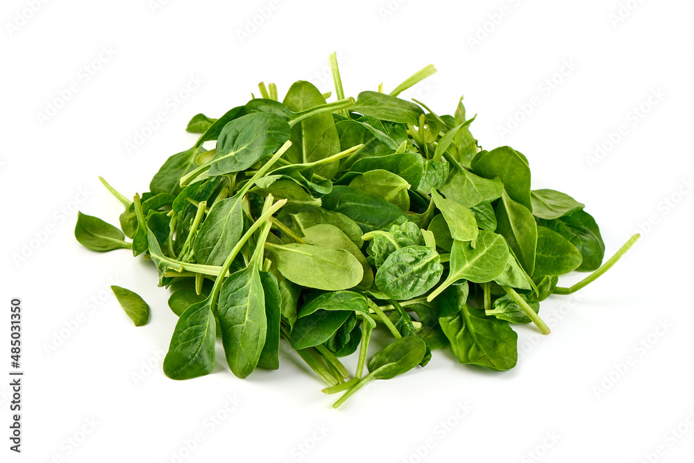 Spinach leaves heap, isolated on white background. Spinach leaves heap, isolated on white background.