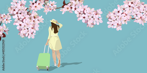 Back view of a female traveler walking under the cherry blossoms. copy space, vector illustration, poster, flyer, ad, sign, web banner, header, graphic, blue, pink, yellow