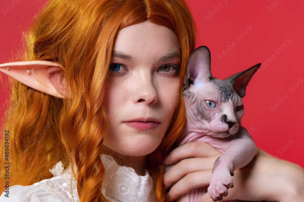 Close-up view of serious young woman cosplay elf with curly red hair. Elf in summer white dress hugging Sphinx kitten and looking at camera intently with eyes of different colors. Dark red background. Close-up view of serious young woman cosplay elf with curly red hair. Elf in summer white dress hugging Sphinx kitten and looking at camera intently with eyes of different colors. Dark red background.