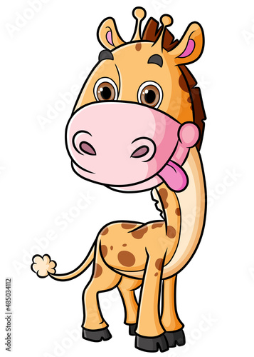The ugly giraffe is standing and giving the silly face