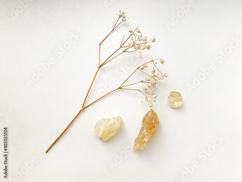 Set of natural resins and twigs of dried flowers , frankincense close-up on a white background