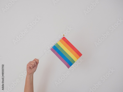 The girl holds in her hand rainbow flags or LGBT flags on a white background.