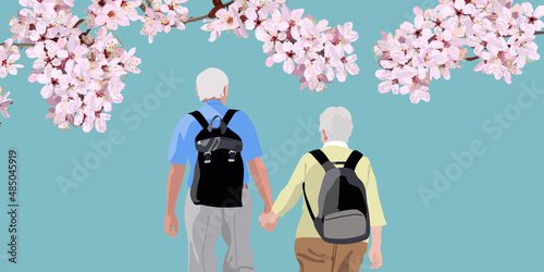 An elderly couple walking on the cherry blossom road. vector illustration, copy space, spring trip, walking, poster, sign, flyer, card, graphic, blue, pink