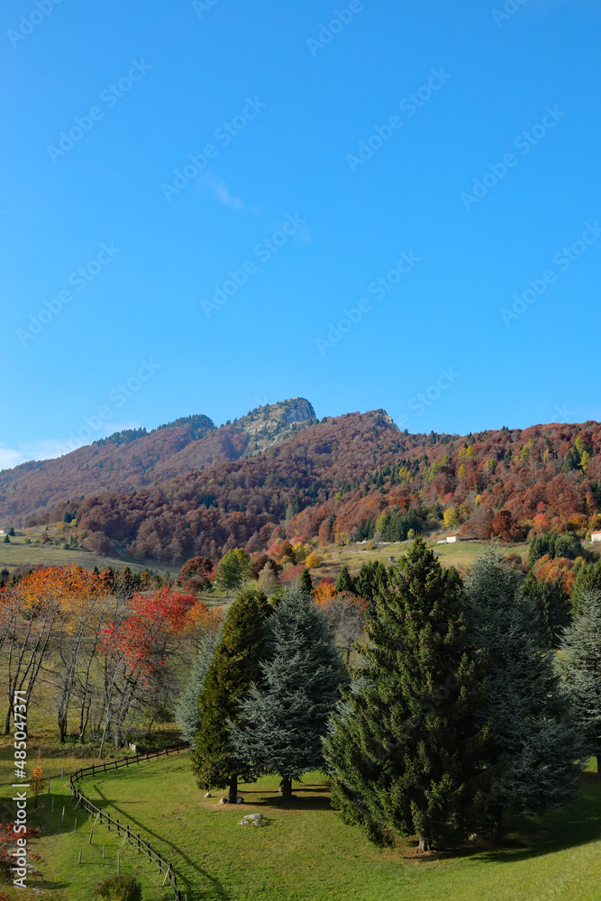 mountain panorama with colorful autumn leaves on a beautiful day