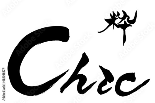 筆文字 　粋　Chic
