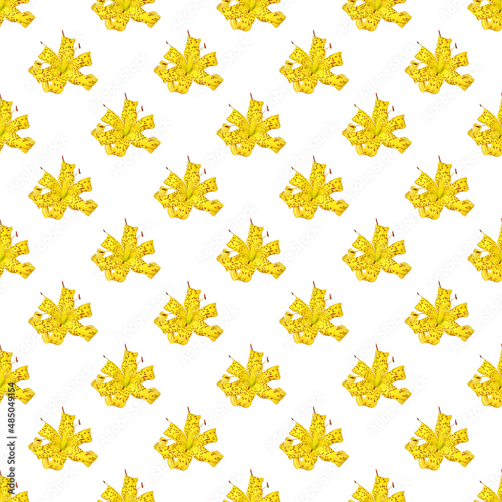 seamless tiger lily pattern on white background seamless tiger lily pattern on white background