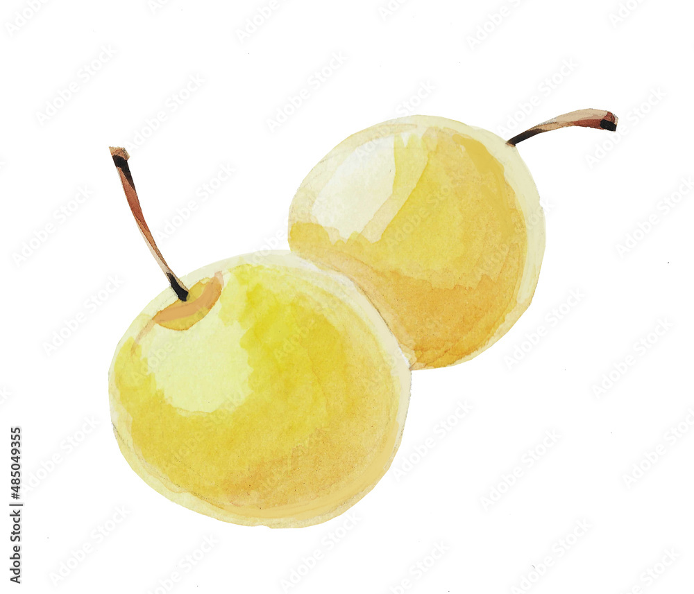 Φωτογραφία Watercolor drawing of ripe