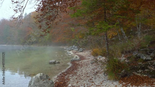 Walking on Lake Bohinj shore in Slovenia. Colorful autumn or fall season. Calm water in misty morning. Pristine glacial pond. Forward moving