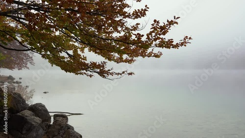 Beautiful Lake Bohinj shore in Slovenia. Colorful autumn or fall season. Calm water in misty morning. Idyll nature. Left pan
