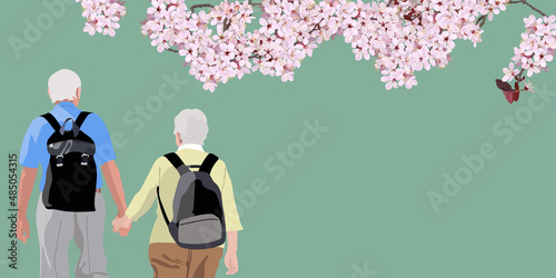An elderly couple watching cherry blossoms on a spring trip. copy space, vector illustration, web header, banner, sing, poster, flyer, ad, graphic, pink green, blue