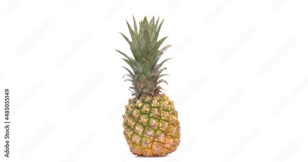 One whole pineapple fruit rotating. Isolated on the white background. One whole pineapple fruit rotating. Isolated on the white background.