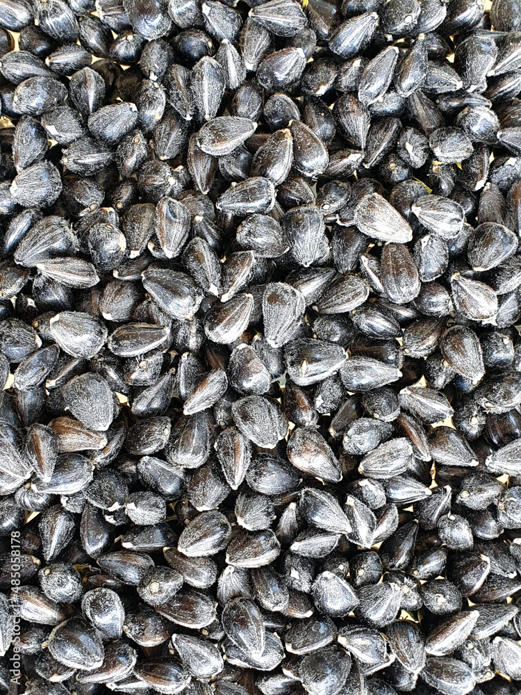 Solid background of black sunflower seeds.
Solid background of black sunflower seeds.