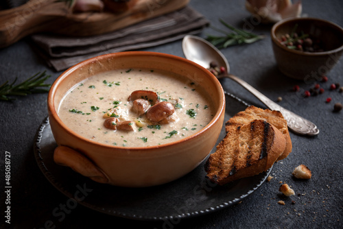 Porcini mushrooms creamy soup with grilled bread and parsley