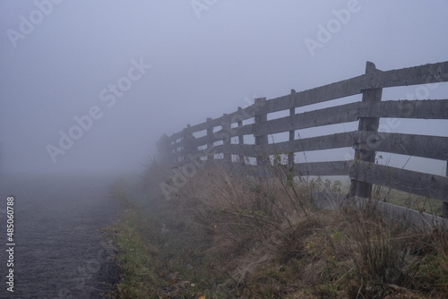 fence in the fog