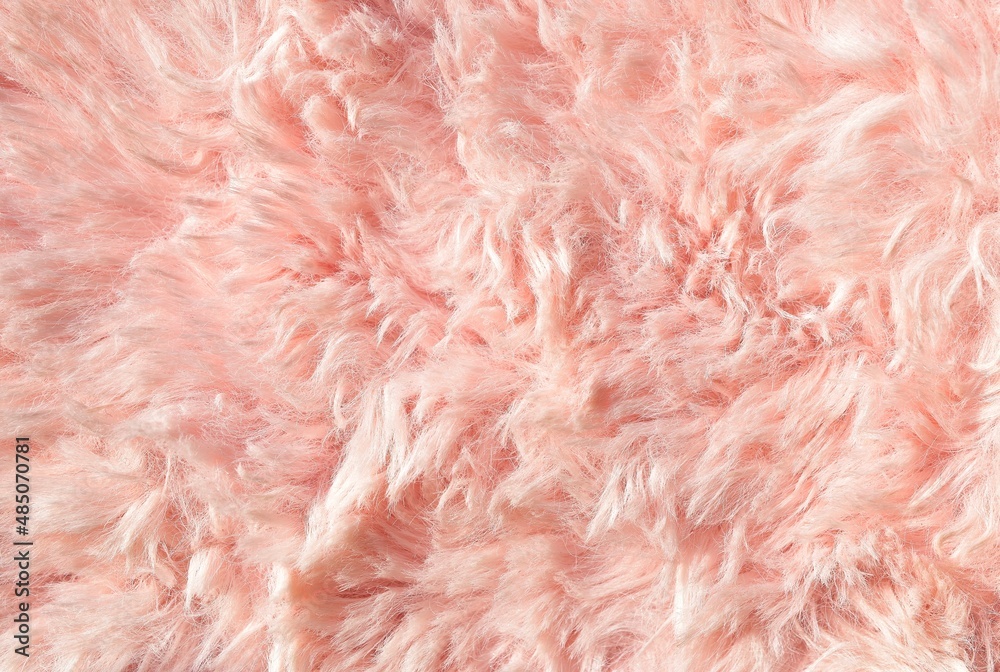 Pink wool texture close-up beautiful abstract fur background Pink wool texture close-up beautiful abstract fur background