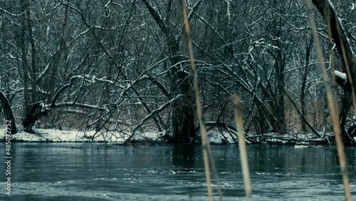 River flowing through the forest.
