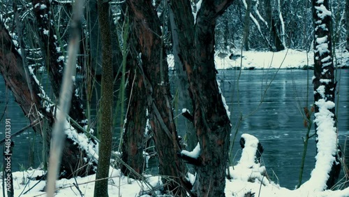 Spring river flowing through the forest.