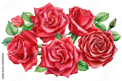Roses bouquet. beautiful flower on isolated white background  watercolor painting