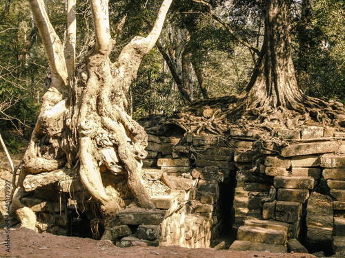 Ruins of an ancient stone temple lost in the Cambodian jungle - Ta Nei of Angkor temples