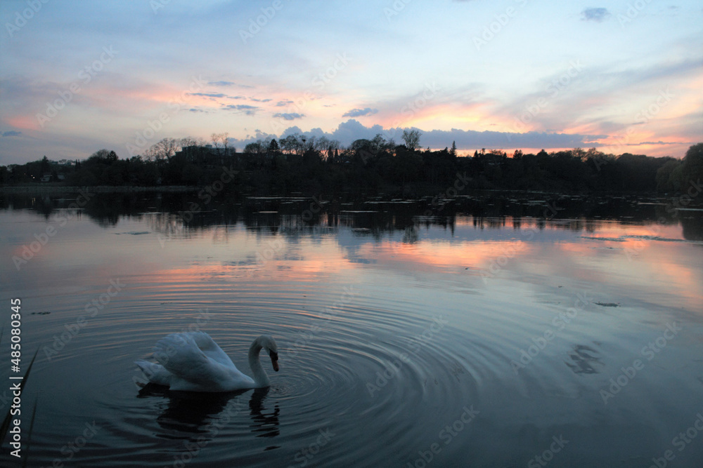 Naklejka premium summer lake