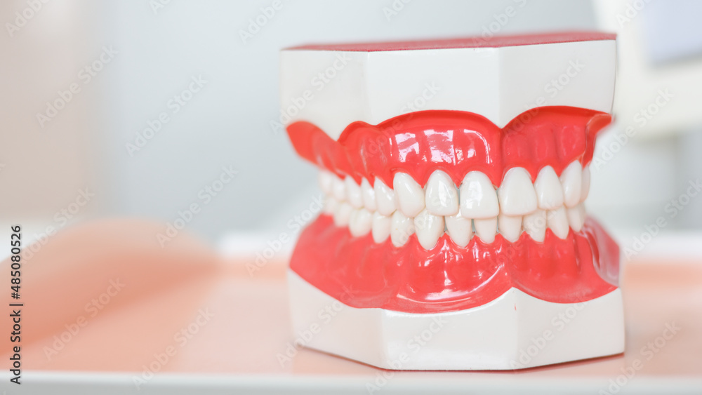Naklejka premium dental model in hospital dentistry