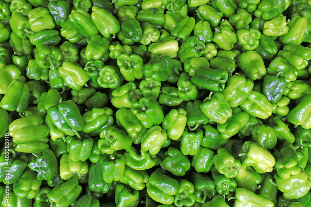 Green peppers pile up in the vegetable wholesale market, North China Green peppers pile up in the vegetable wholesale market, North China