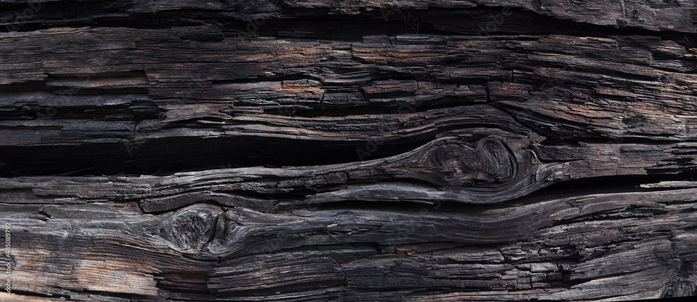 The texture of an old cracked sawn wood The texture of an old cracked sawn wood