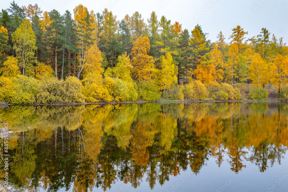 autumn trees reflected in water