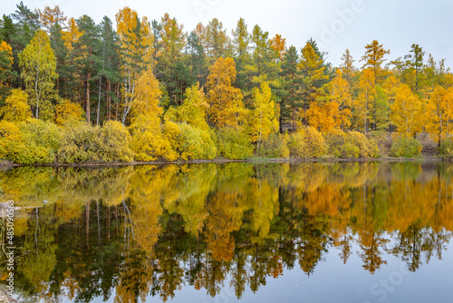 autumn trees reflected in water