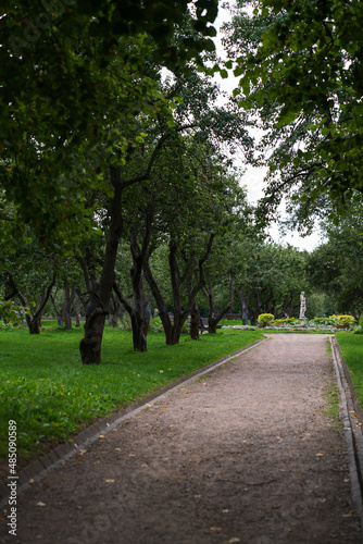 Alley in the park