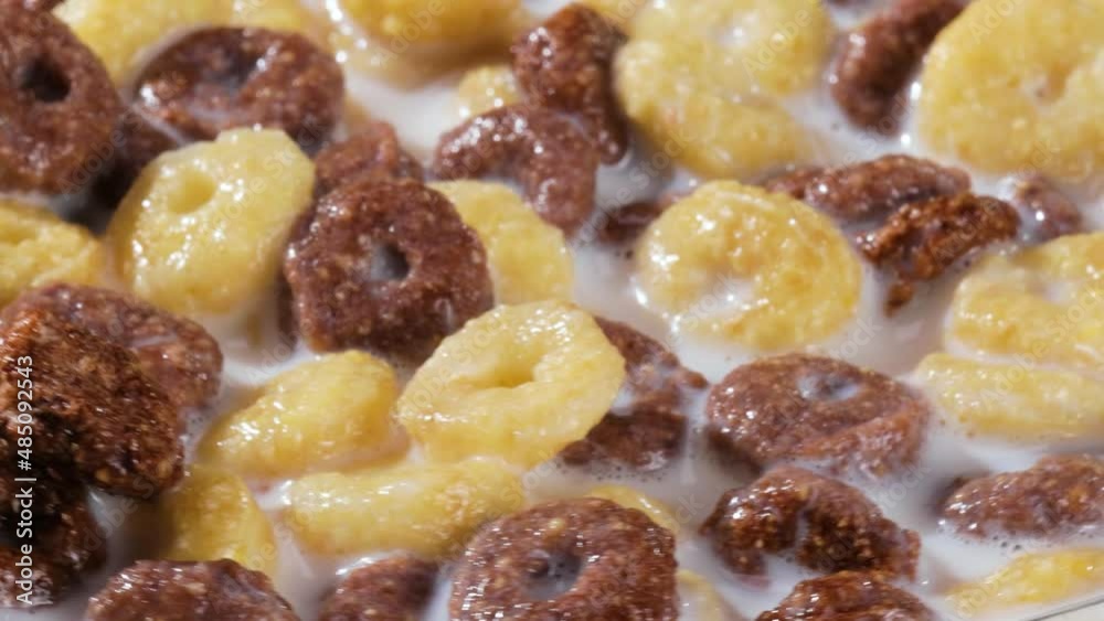 Breakfast Chocolate corn cereal in a bowl with milk. Breakfast Chocolate corn cereal in a bowl with milk.