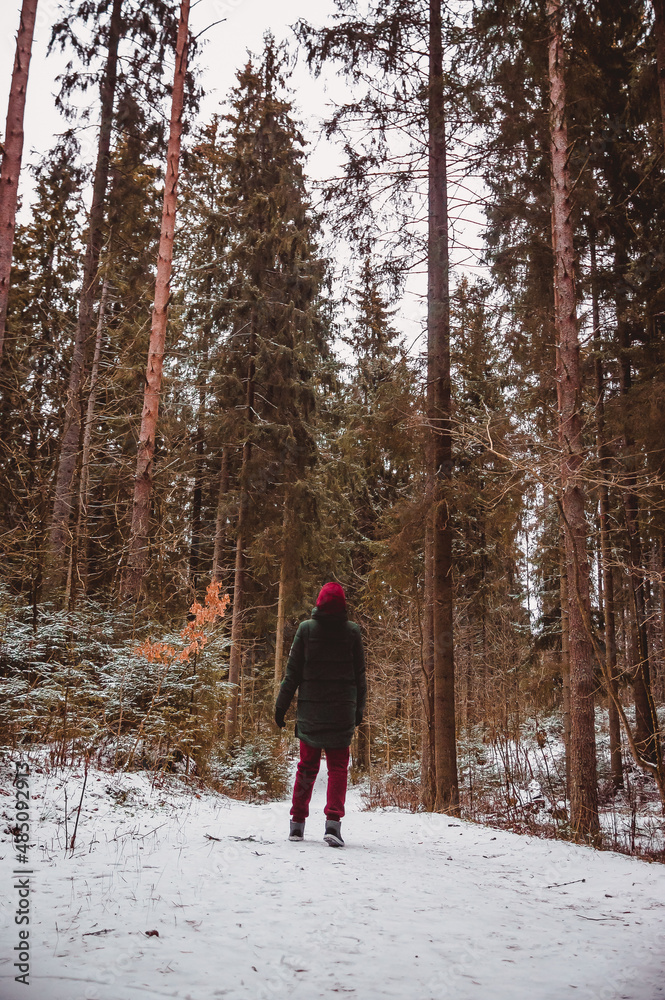 the figure of a person wandering along a snowy winter forest path