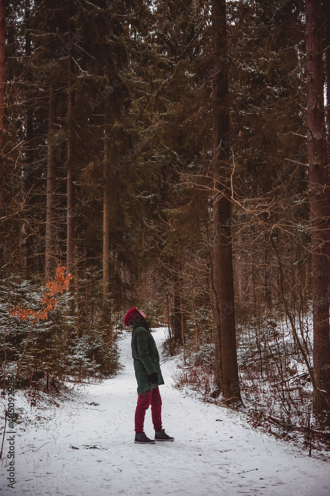 a person looking up to the tall pine trees in the winter forest