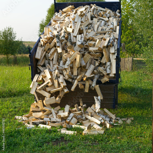 The truck brought the beaten birch logs and dumped them in the farm yard. The logs will be used in winter for heating the house