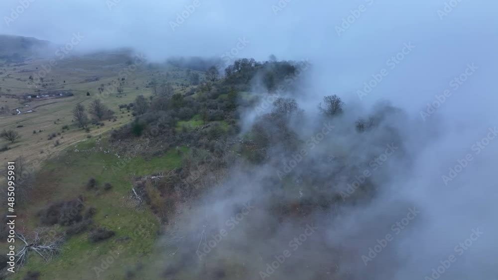 Fog and beech forest in the Campas de Legaire in winter in the Sierra de Entzia. Province of Álava province. Basque Country, Spain, Europe Fog and beech forest in the Campas de Legaire in winter in the Sierra de Entzia. Province of Álava province. Basque Country, Spain, Europe