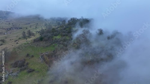 Wallpaper Mural Fog and beech forest in the Campas de Legaire in winter in the Sierra de Entzia. Province of Álava province. Basque Country, Spain, Europe Torontodigital.ca