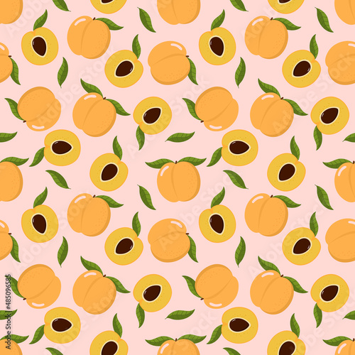 Apricot fruit seamless pattern. Fresh organic food background. -Vector