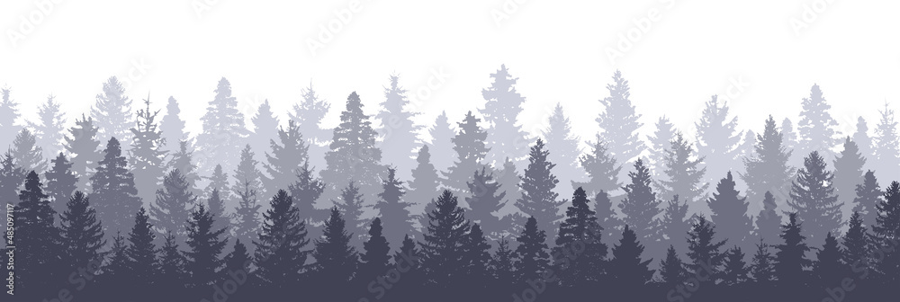 Obraz Forest panorama. Wood landscape. Variety of pine trees. Vector EPS 10